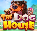 The Dog House Megaways bei Lizaro