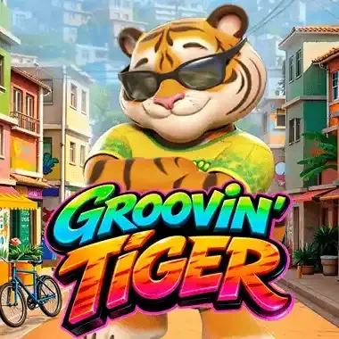 Grooving Tiger bei Lizaro